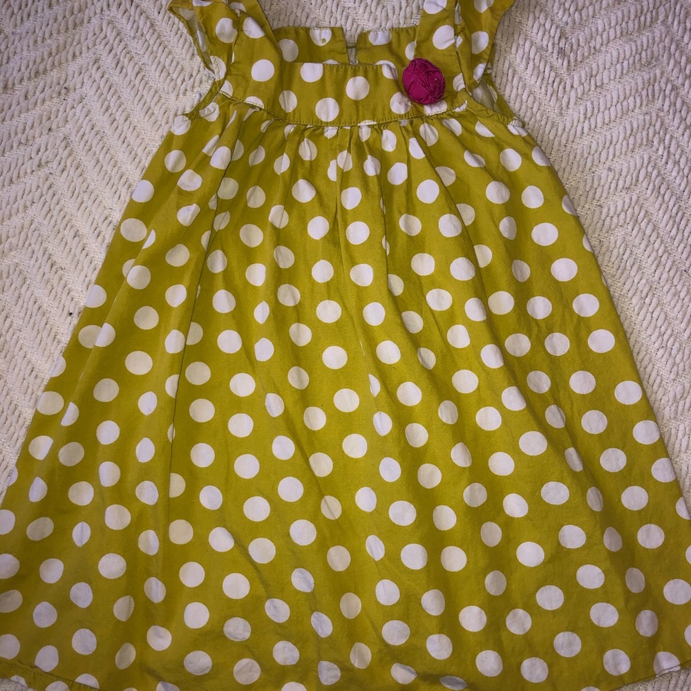Green and white polka dot dress with pink rose